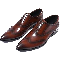Business or office shoes
